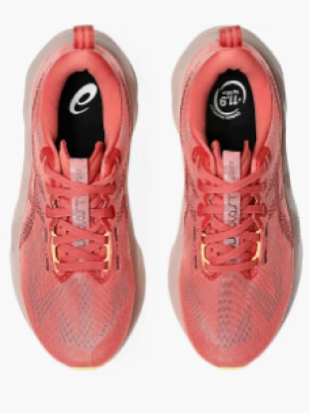 Asics NOVABLAST 5